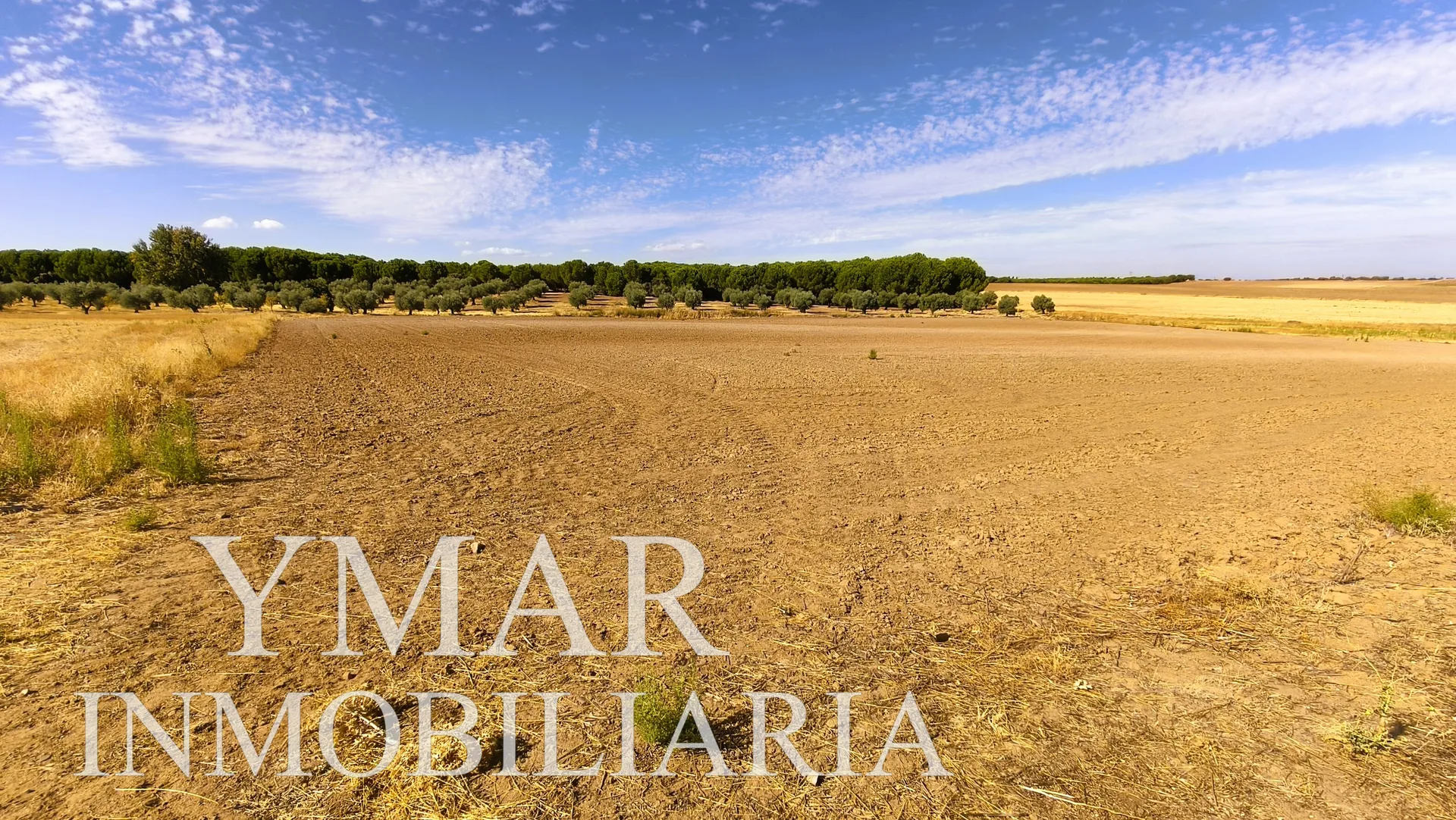 TERRENO RUSTICO - SANTA OLALLA